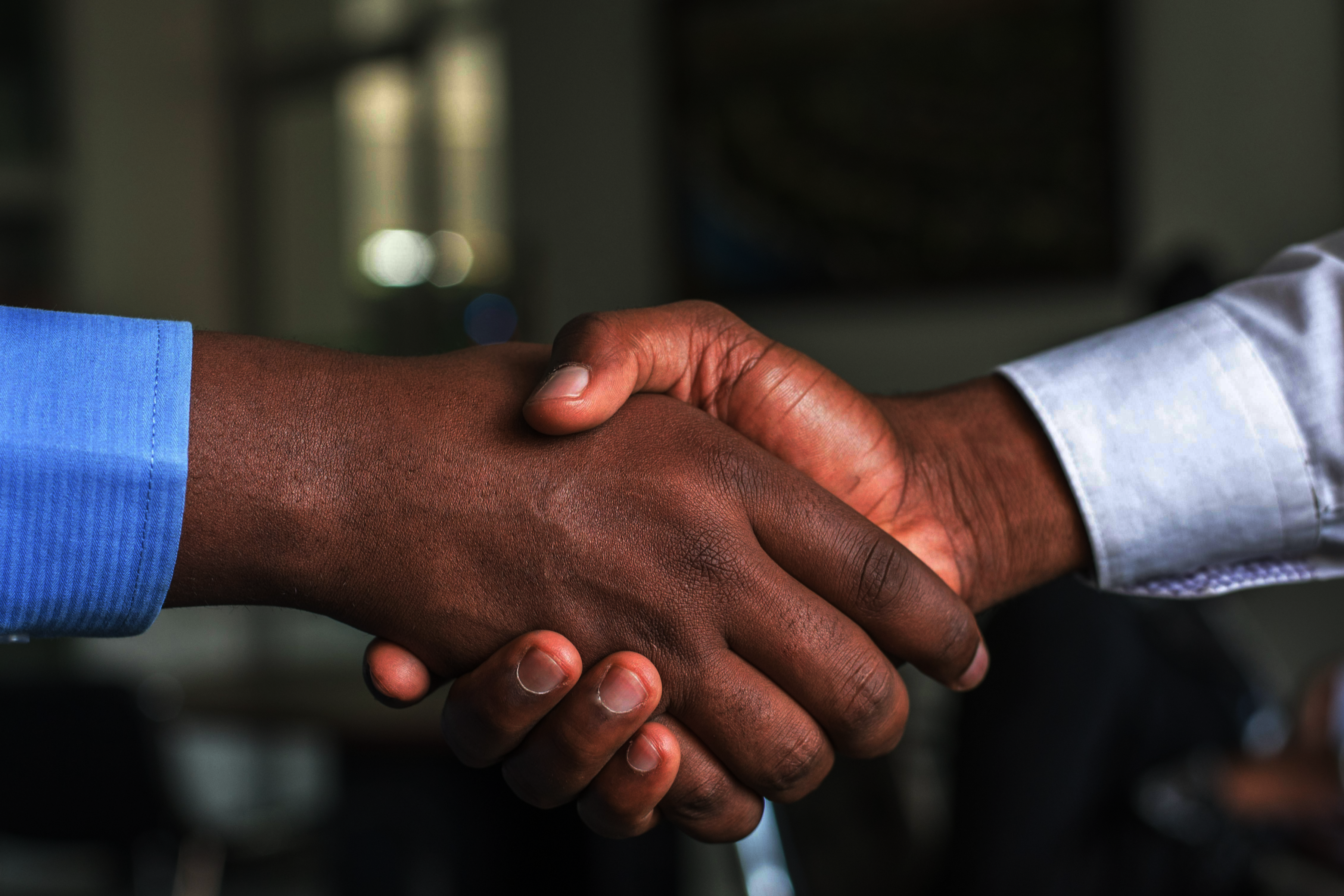 A handshake between business people
